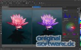 CorelDRAW Graphics Suite 2021 | Windows | Dauerlizenz | Abverkauf