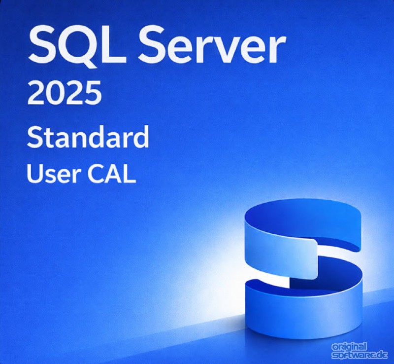 Microsoft SQL Server 2025 Standard 10er Nutzer CAL OEM - Zugriffsrechte