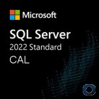 Microsoft SQL 2022 Standard Server 1er Nutzer CAL OEM