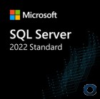 Microsoft SQL 2022 Standard Server Lizenz OEM|ROC DVD