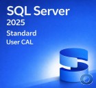 Microsoft SQL Server 2025 Standard 5er User CAL OEM - Zugriffsrechte